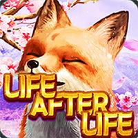 LIFE AFTER LIFE - AstroTech