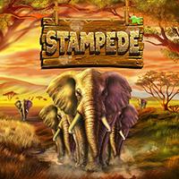 Stampede - Betsoft
