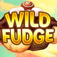 WILD FUDGE - CQ9