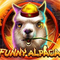 FUNNY ALPACA - CQ9