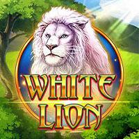 White Lion - Funky Games