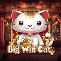Big Win Cat - Play'n GO