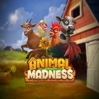 Animal Madness - Play'n GO