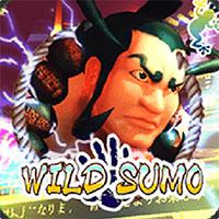 Wild Sumo - Gamatron