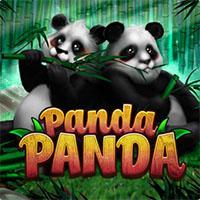 PANDA PANDA - Habanero