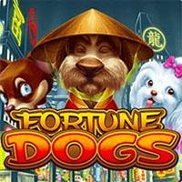 FORTUNE DOGS - Habanero