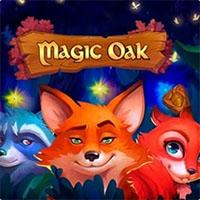 MAGIC OAK - Habanero