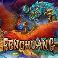 FENGHUANG - Habanero