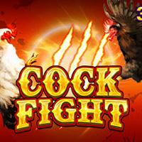 Cock Fight - JDB