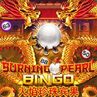 BURNING PEARL BINGO - Joker Gaming