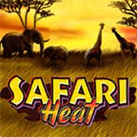 SAFARI HEAL - Joker Gaming