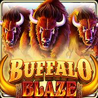 Buffalo Blaze - Live22