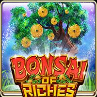 Bonsai of Riches - Live22