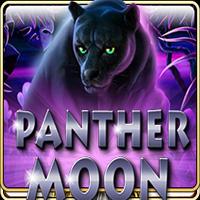 Panther Moon - Live22