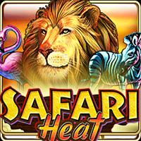 Safari Heat - Live22