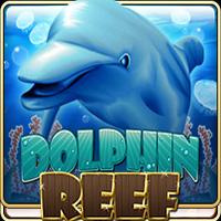 Dolphin Reef - Live22