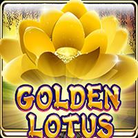 Golden Lotus - Live22