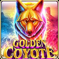 Golden Coyote - Live22