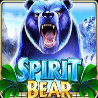 Spirit Bear - Live22