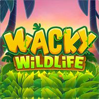 Wacky Wildlife - OneTouch
