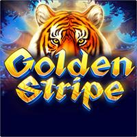 Golden Stripe - OneTouch
