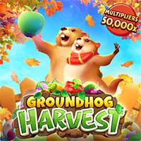 GROUNDHOG HARVEST - PG Soft