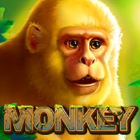 Monkey - PlayStar