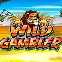 Wild Gambler - Playtech