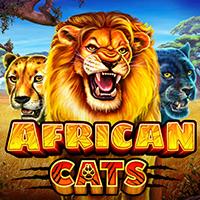 African Cats - Playtech