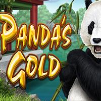 Panda's Gold - Real Time Gaming