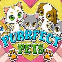 Purrfect Pets - Real Time Gaming