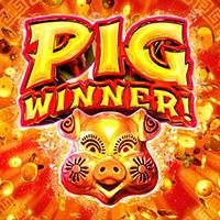 Pig Winner - Real Time Gaming