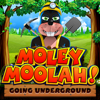 MOLEY MOOLAH! - Yggdrasil